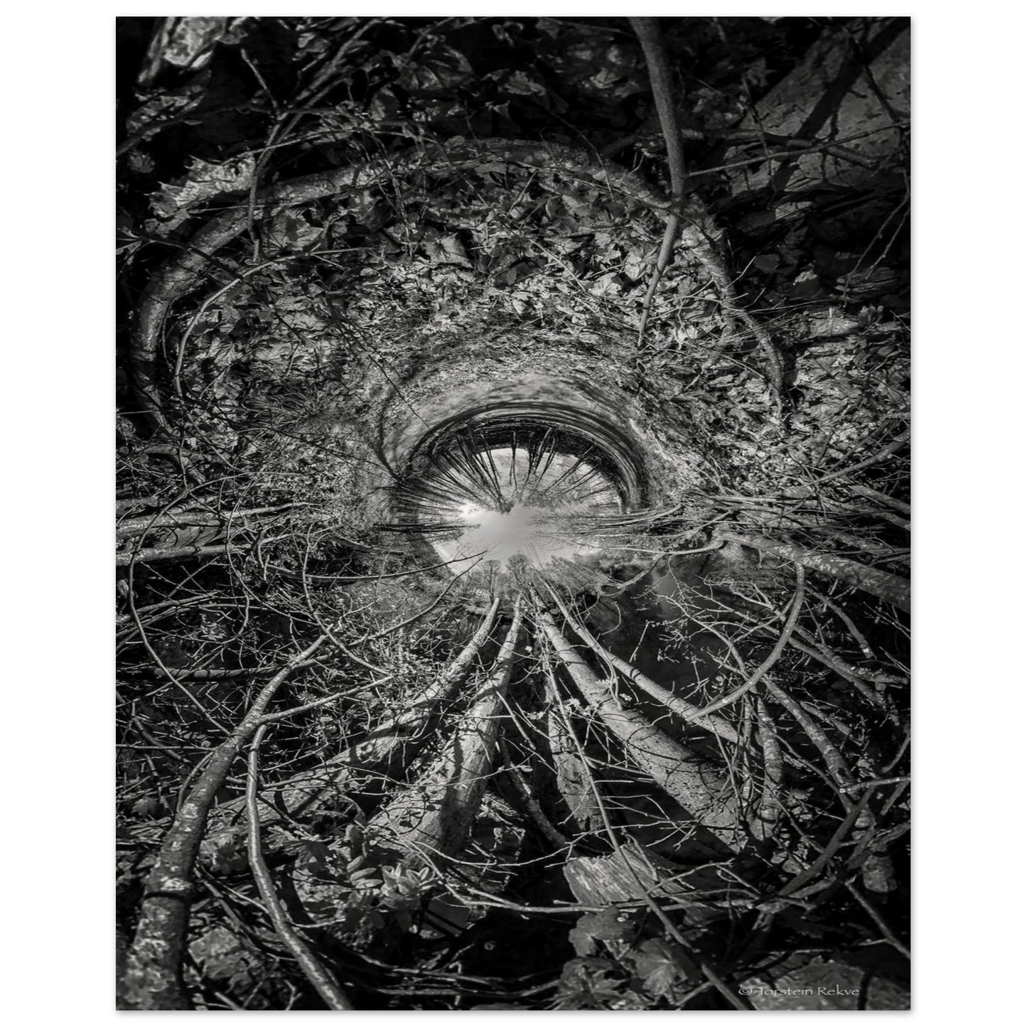 009a46cf-c44b-4af7-b44a-5e1dea9932b1
