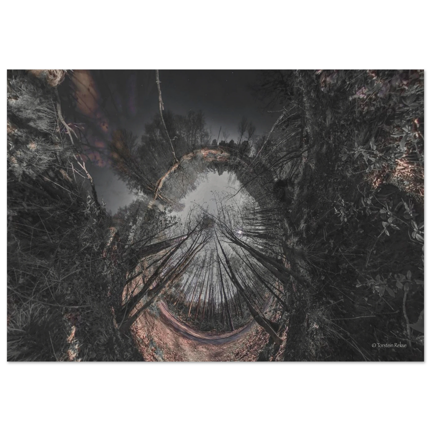 018f1538-a90b-48d8-9ca4-9018d2bdbc47