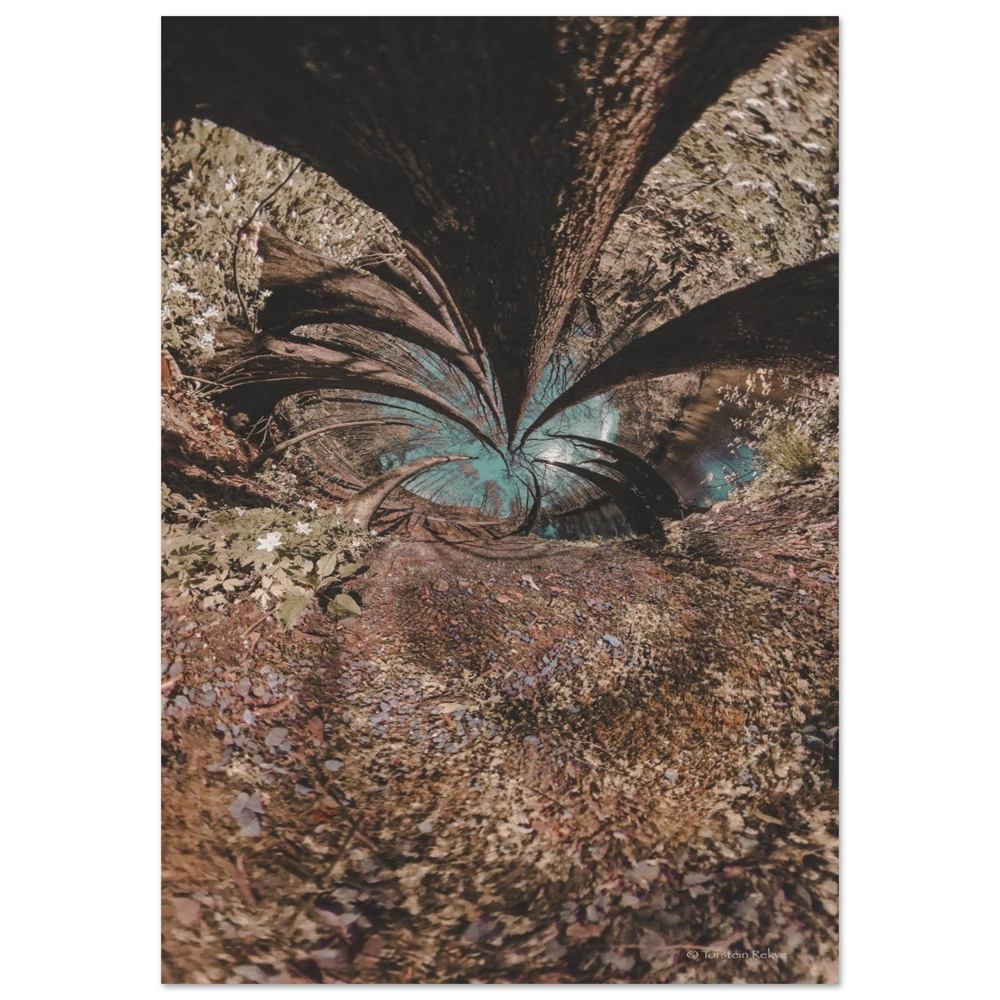 0250a3d8-52d2-419d-a5dd-7faf7c159467