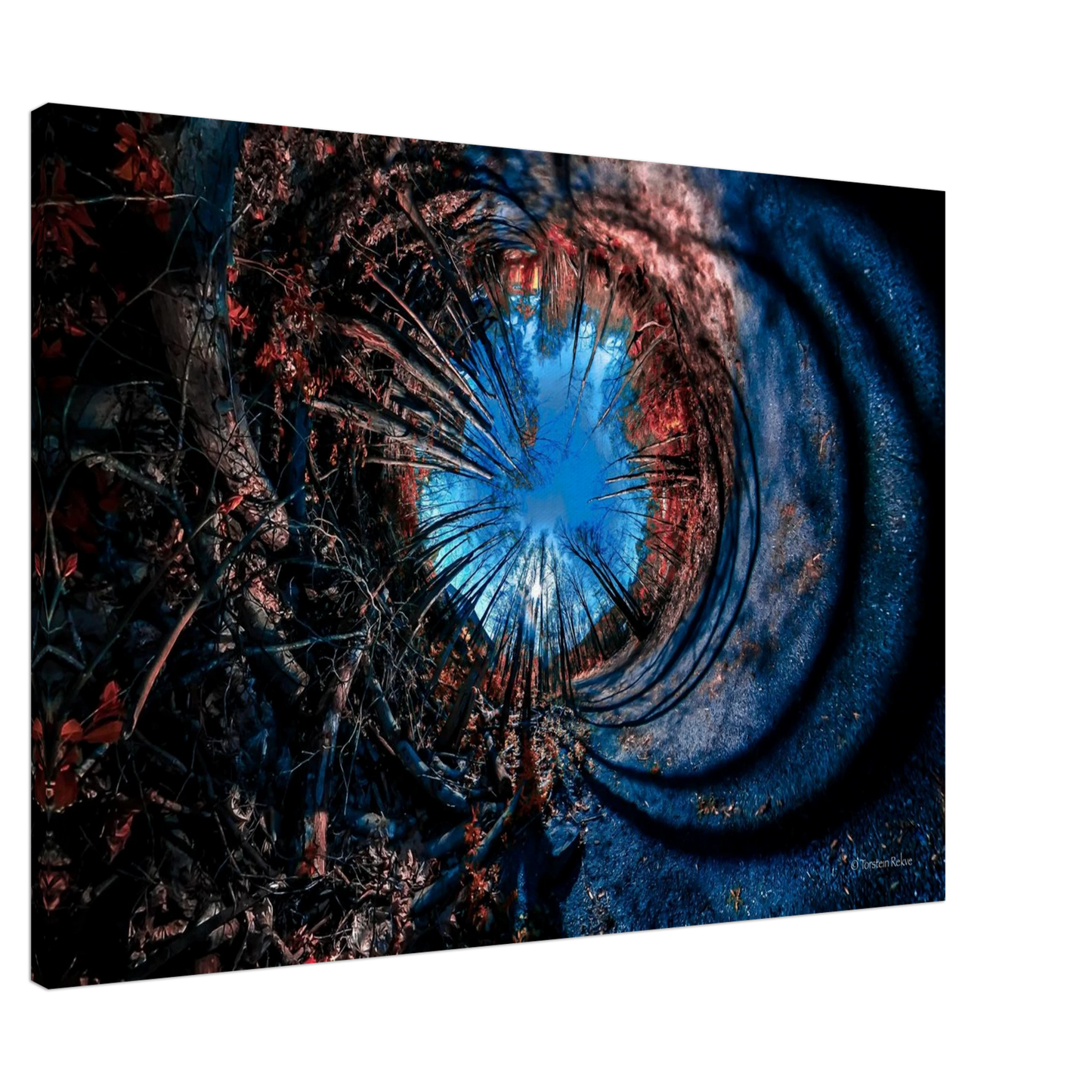 0ae2497d-e0cc-4914-843a-c042162bb585