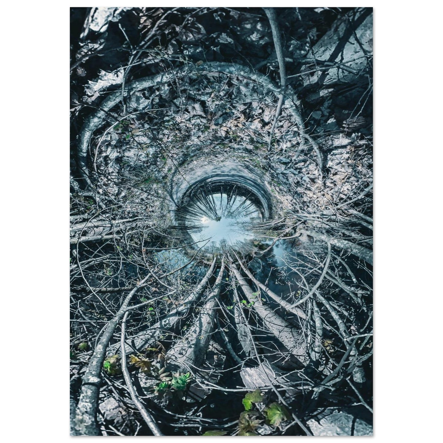 0c7d5cd1-0563-4e5f-ba5c-d4a6059491b6
