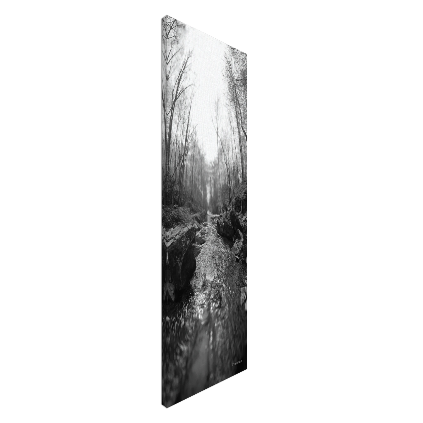 1478e596-240d-4a0d-b5b8-f456aeecea9e