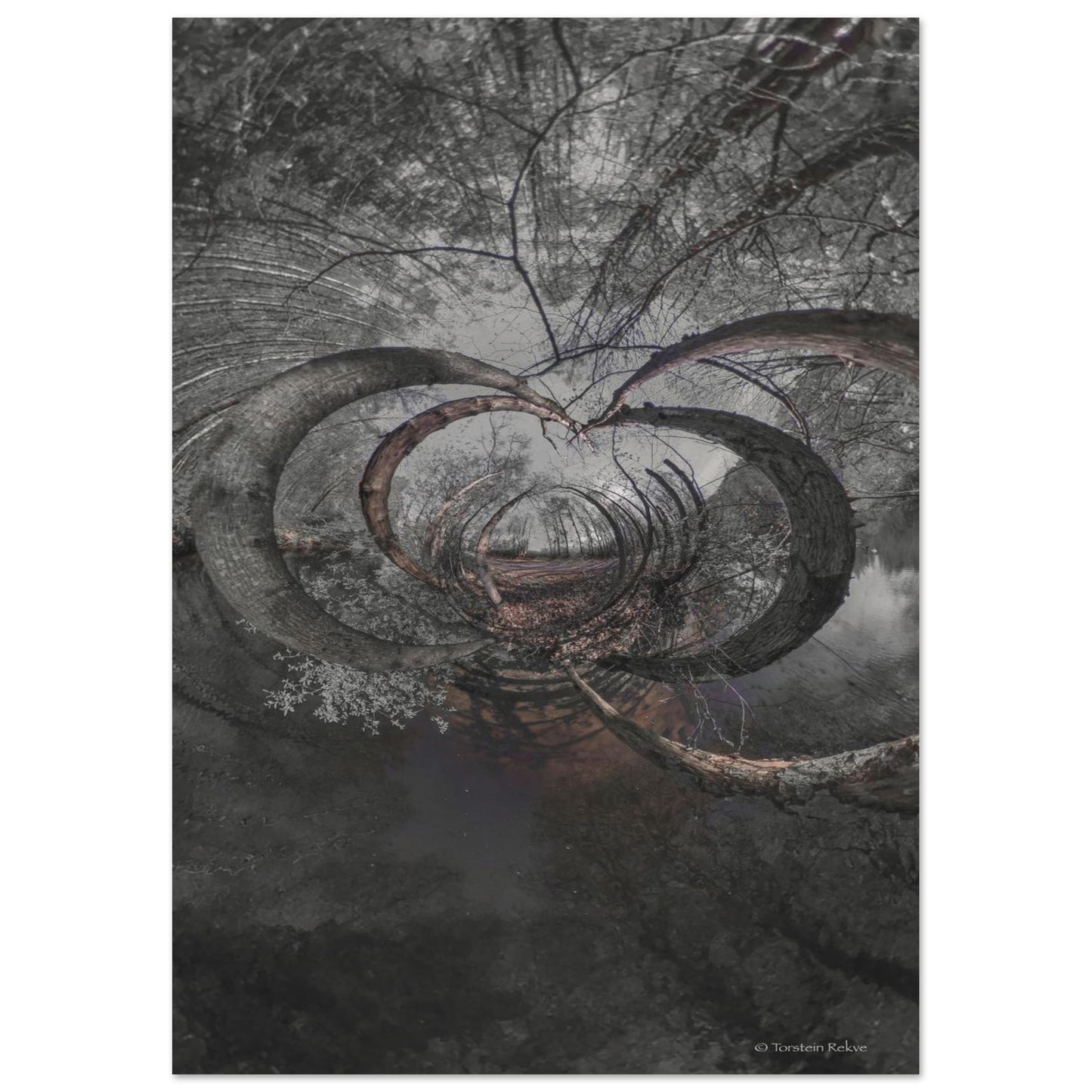 1708a386-b3a9-47b9-bd3c-88ca653bf133