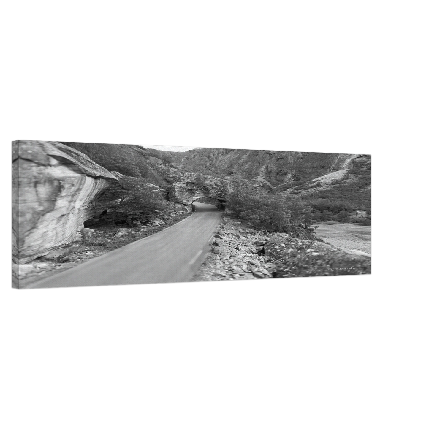 197b15e9-d38d-4b0a-b62b-5bc91de540af