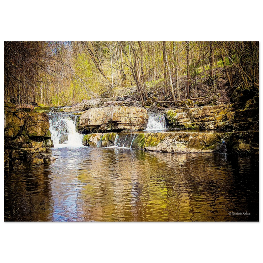 1c20e2b8-b55d-4d93-b90a-44528b57144f