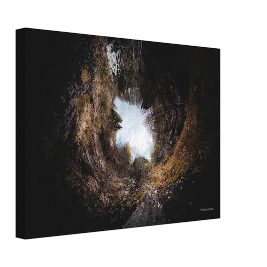 1d7ec3ef-11dc-4874-bc4c-aa5343152ec6