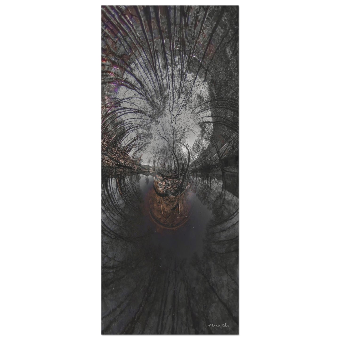 1e40602d-7950-419e-a101-2d3c3262e6e2