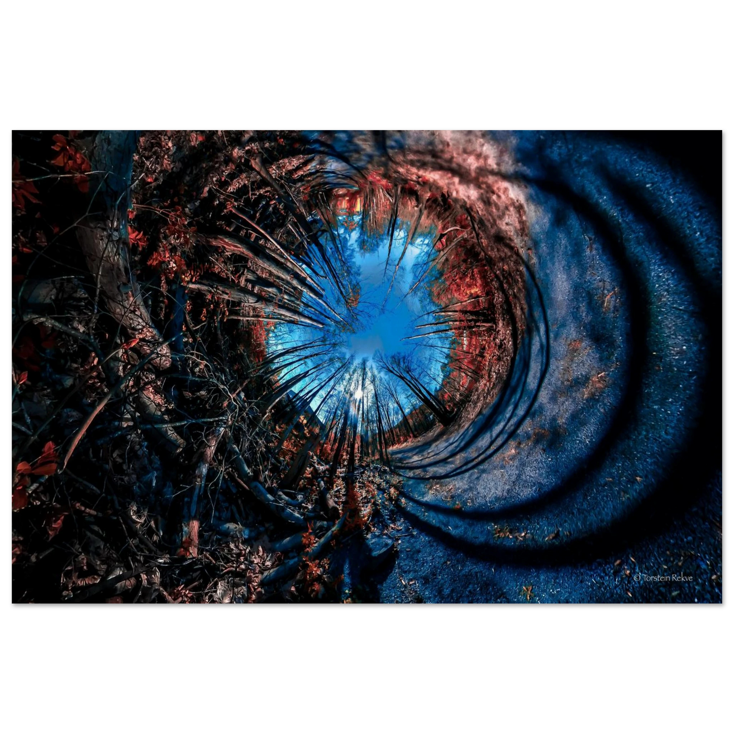 25313bc5-f900-4afc-8020-adc36c4c83c4
