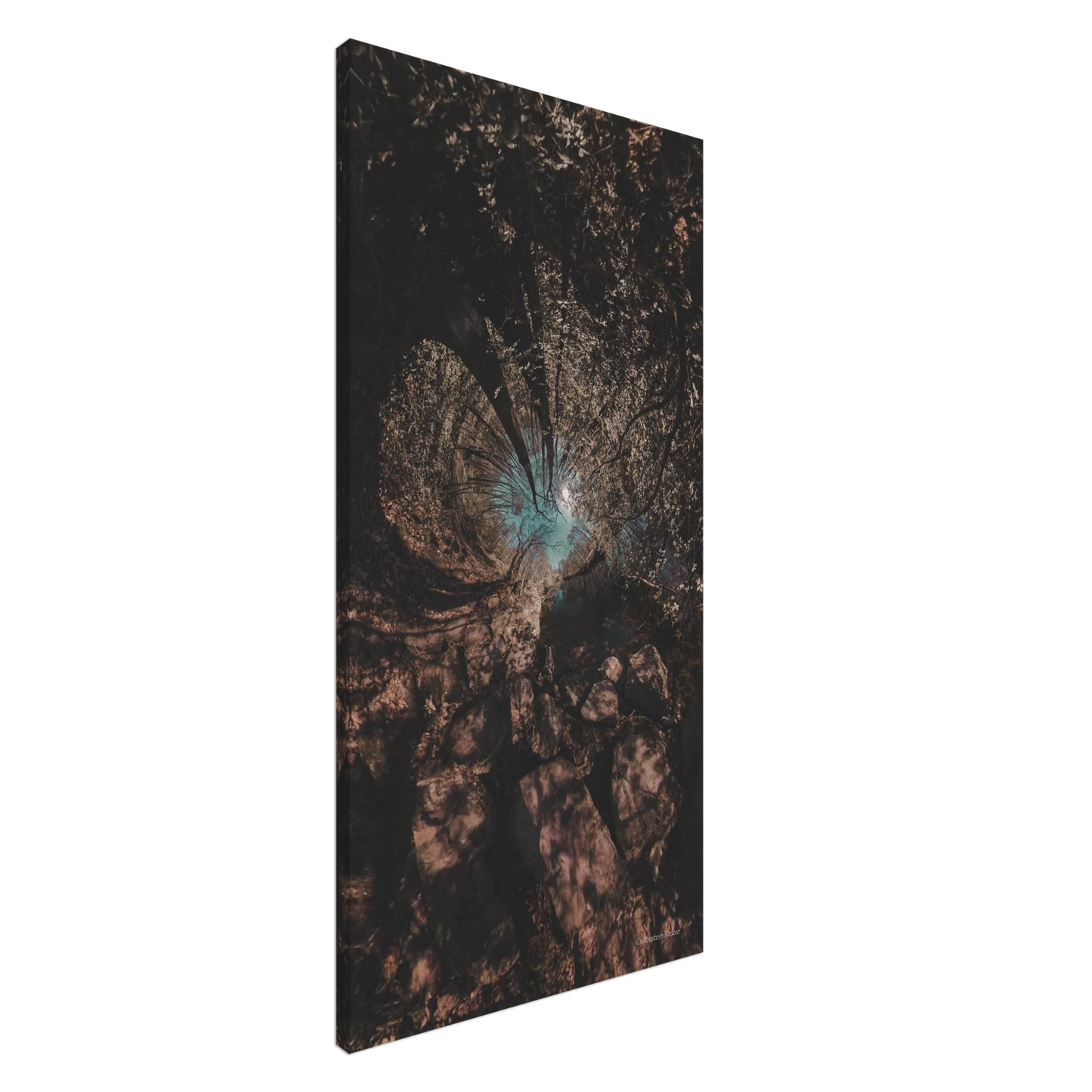 264e9565-4ff2-4f60-9005-94fc90af1cbc
