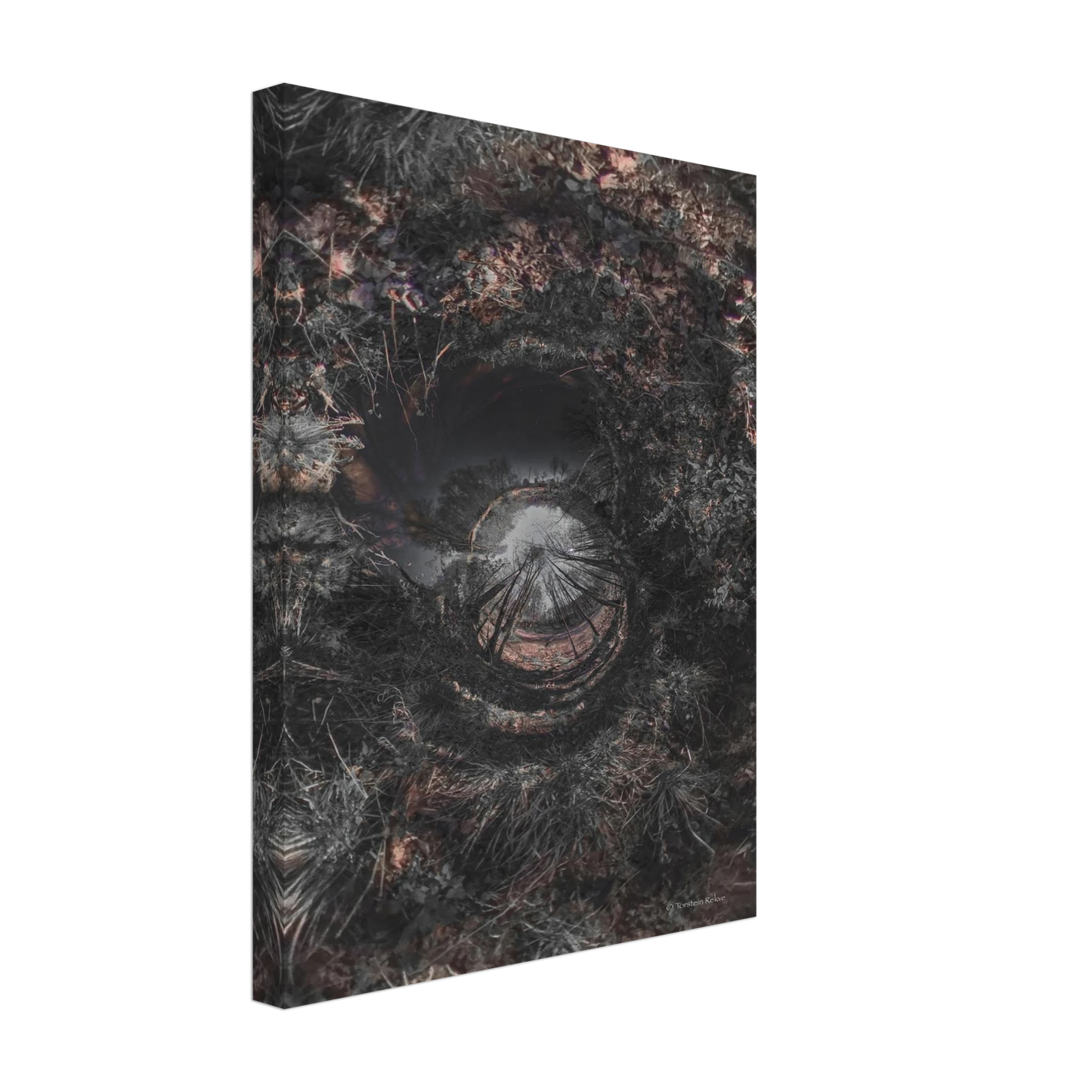 2ac3d658-27e2-4881-ba13-aea552b260f0