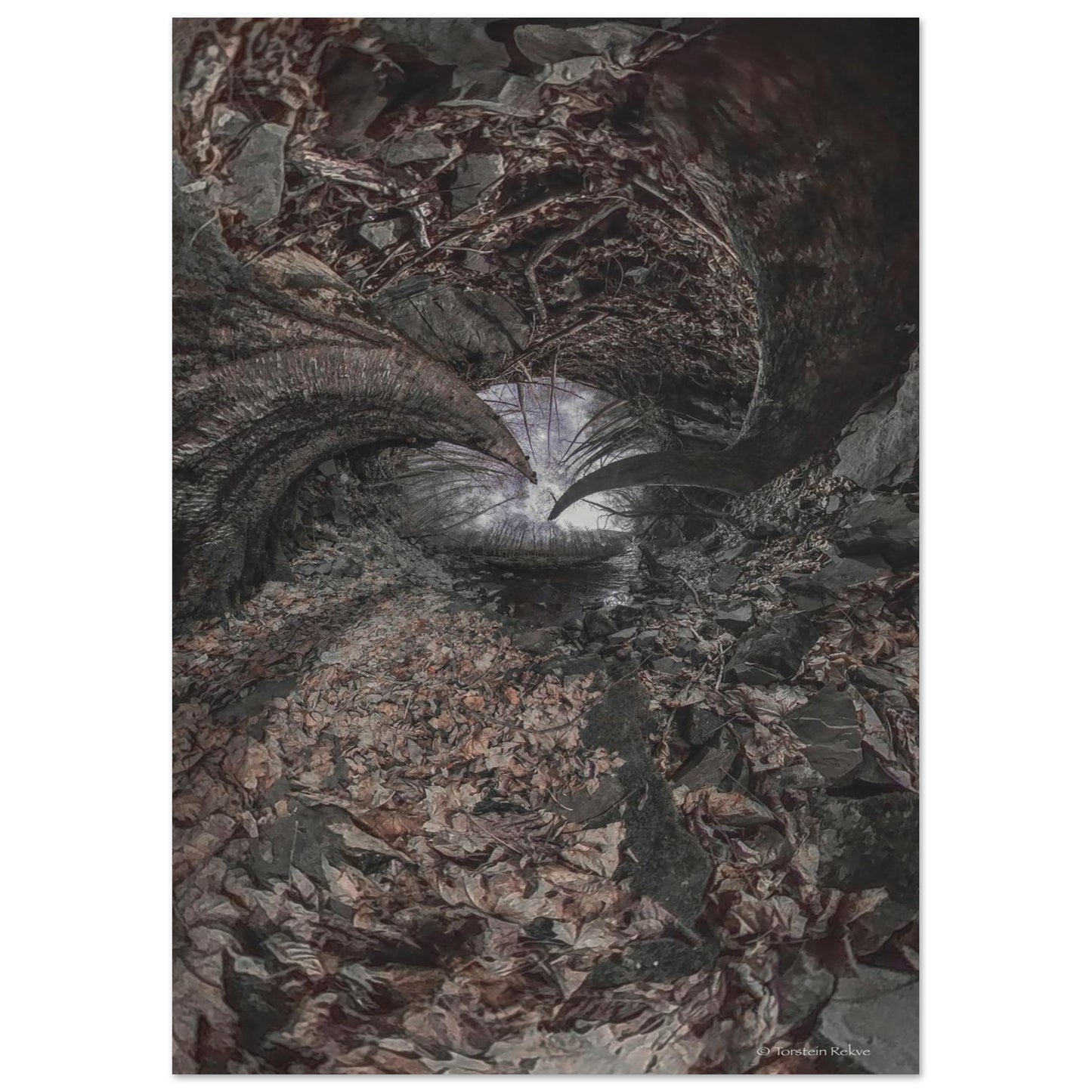 2d1064a1-ffbb-4bfc-a608-4ab6f5b5bfb6