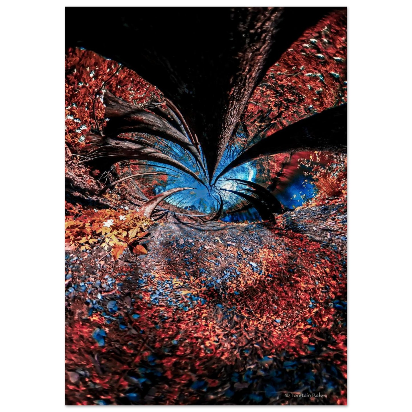30041288-b40c-48ba-948a-51deec8a41bc