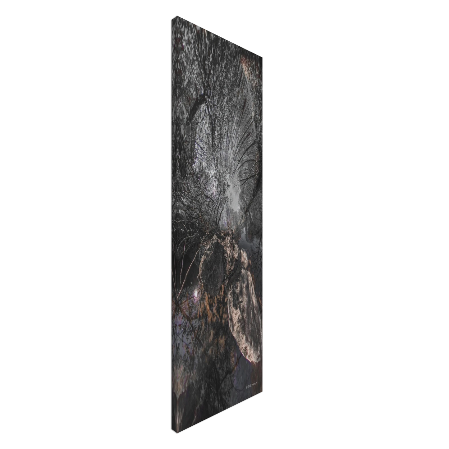 306c1349-36d0-4943-8664-ce402675af26