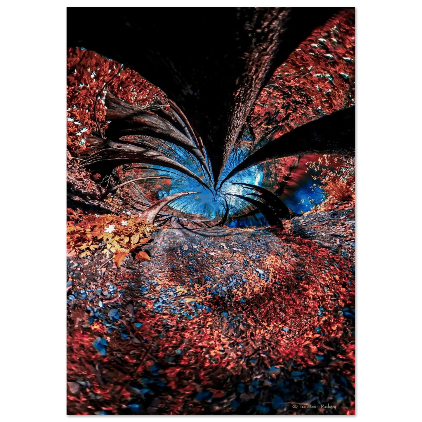 30bb61ac-4447-4f97-a261-9e712654f61e