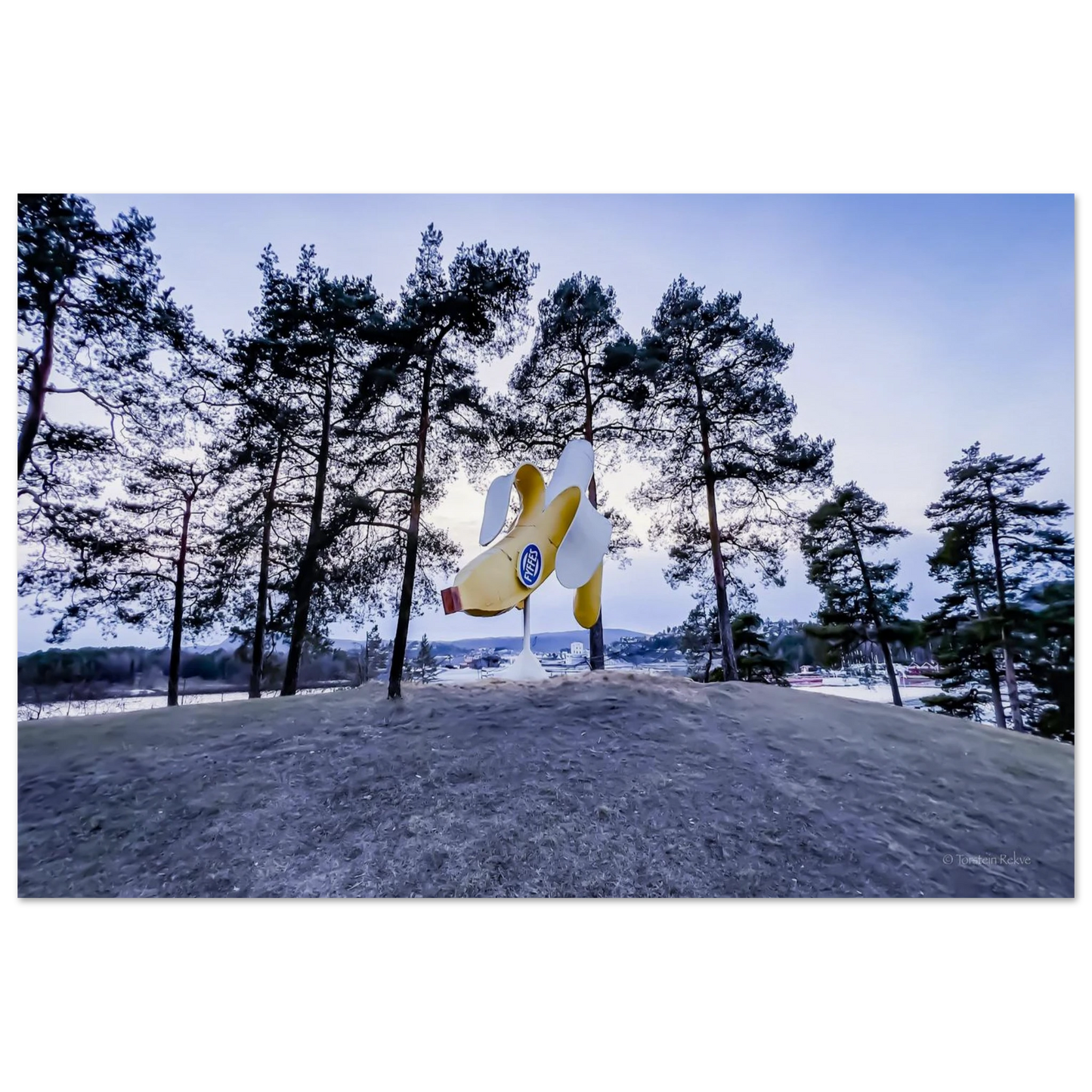 31d59383-c507-4aae-ab2d-b6d38018a71e