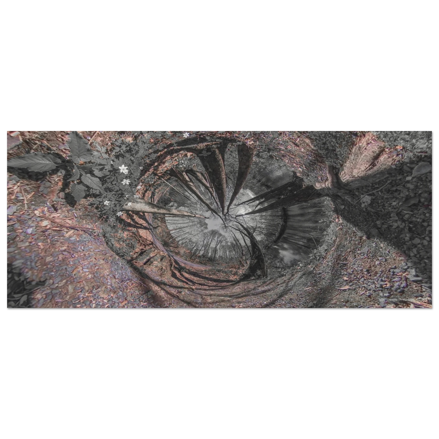 3a0292f3-aa89-4854-ab02-8c53edd5af69