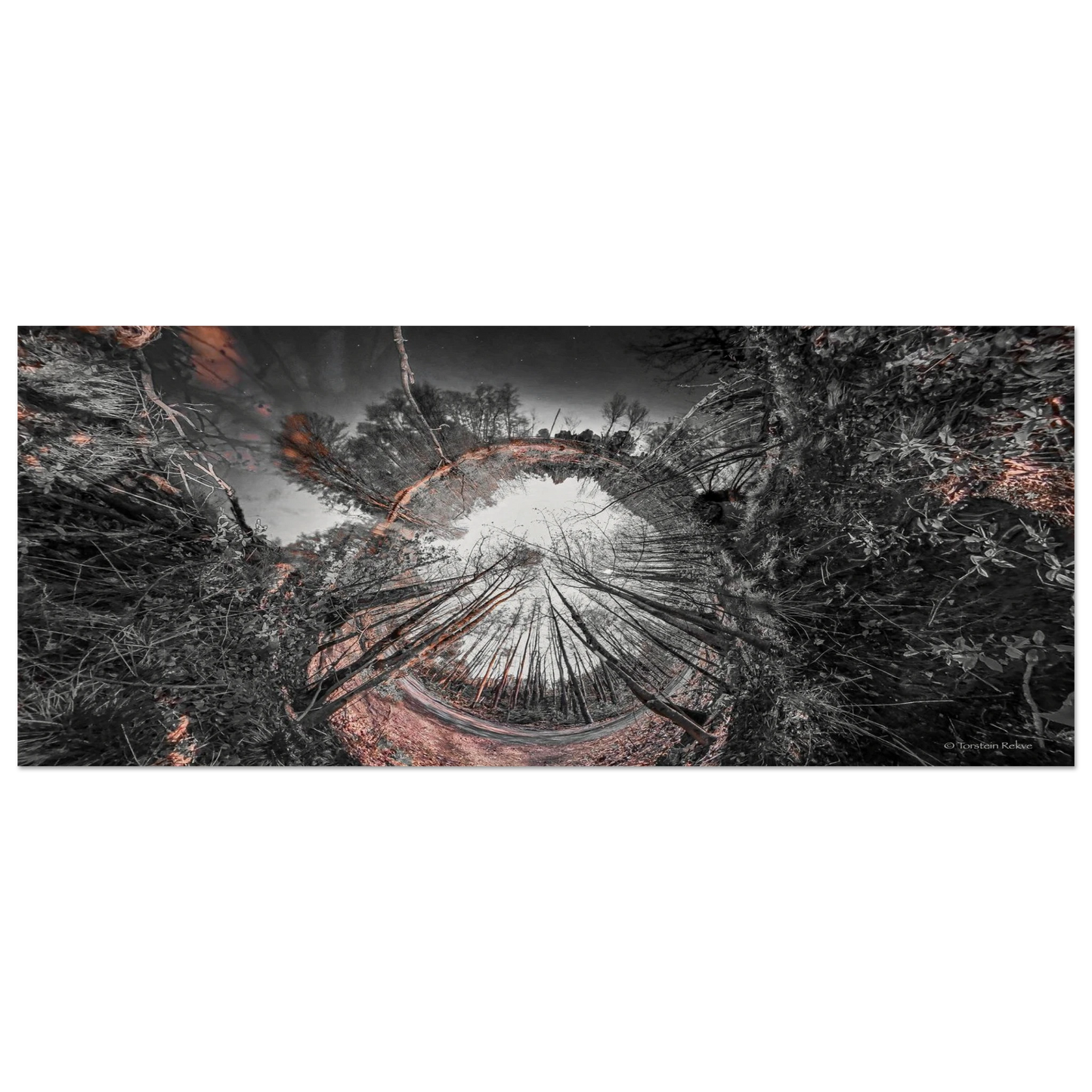4052f59c-98a0-4072-9ffe-e2124082eff5