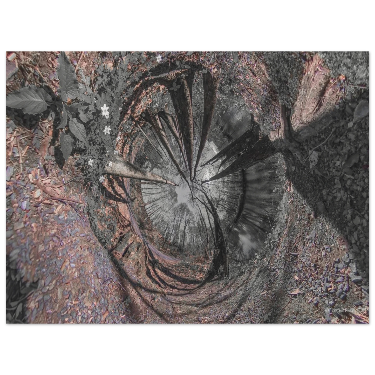 43154be4-5c9e-4d57-98bd-fd30ddf0d148