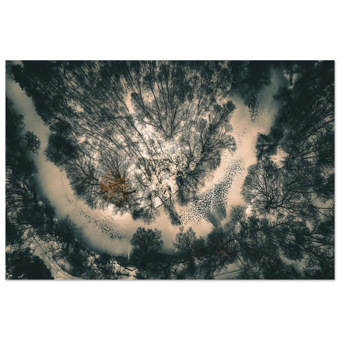 4a2b45e1-a7c3-4a28-835f-f55c7549eb5b