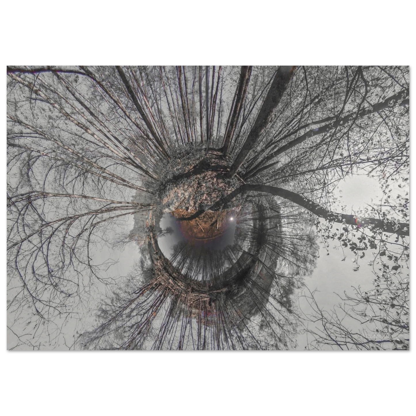 4e53ab69-9800-446c-964d-8c733c7c15a8