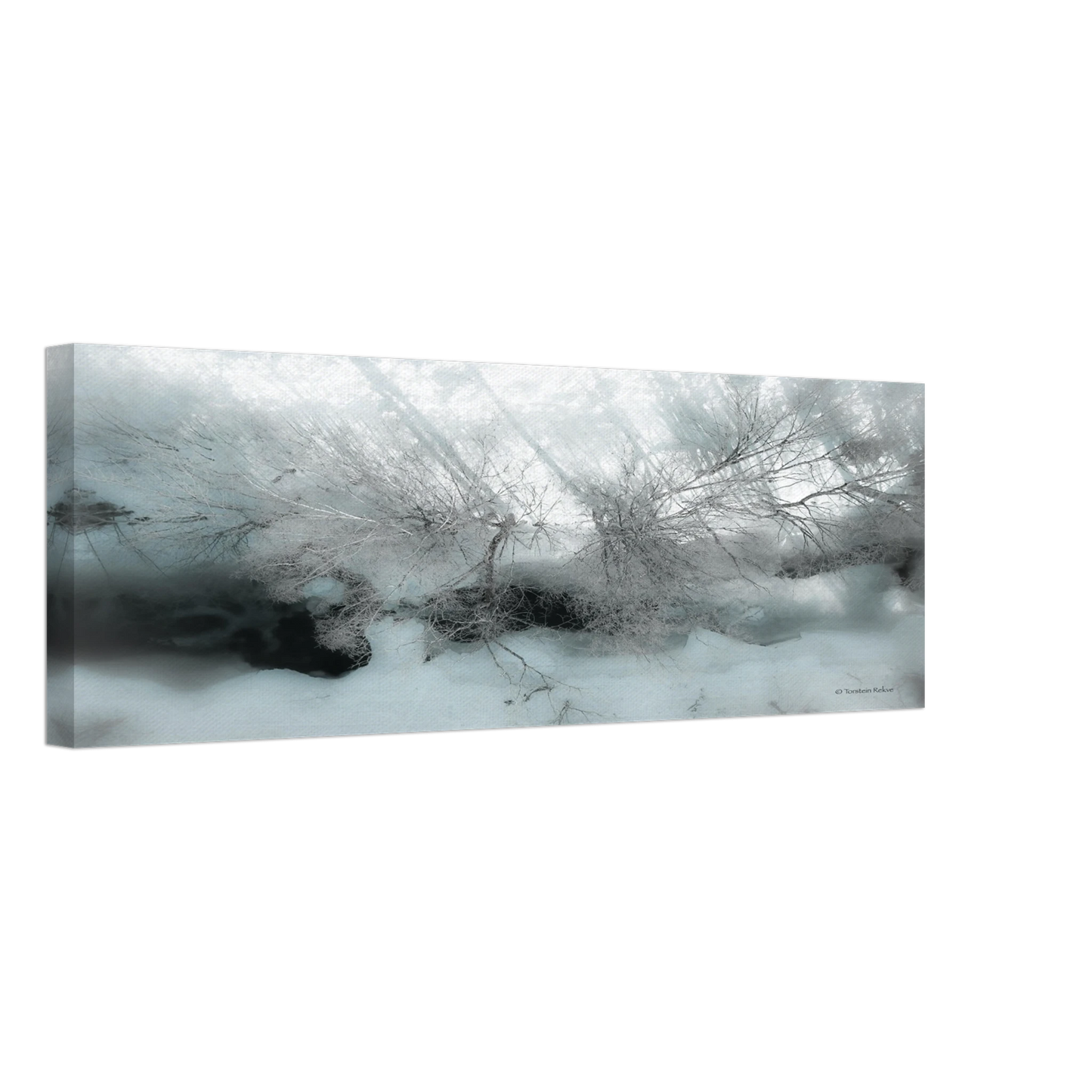 4e5a0d7c-53f8-4a69-888c-4747232ff30b