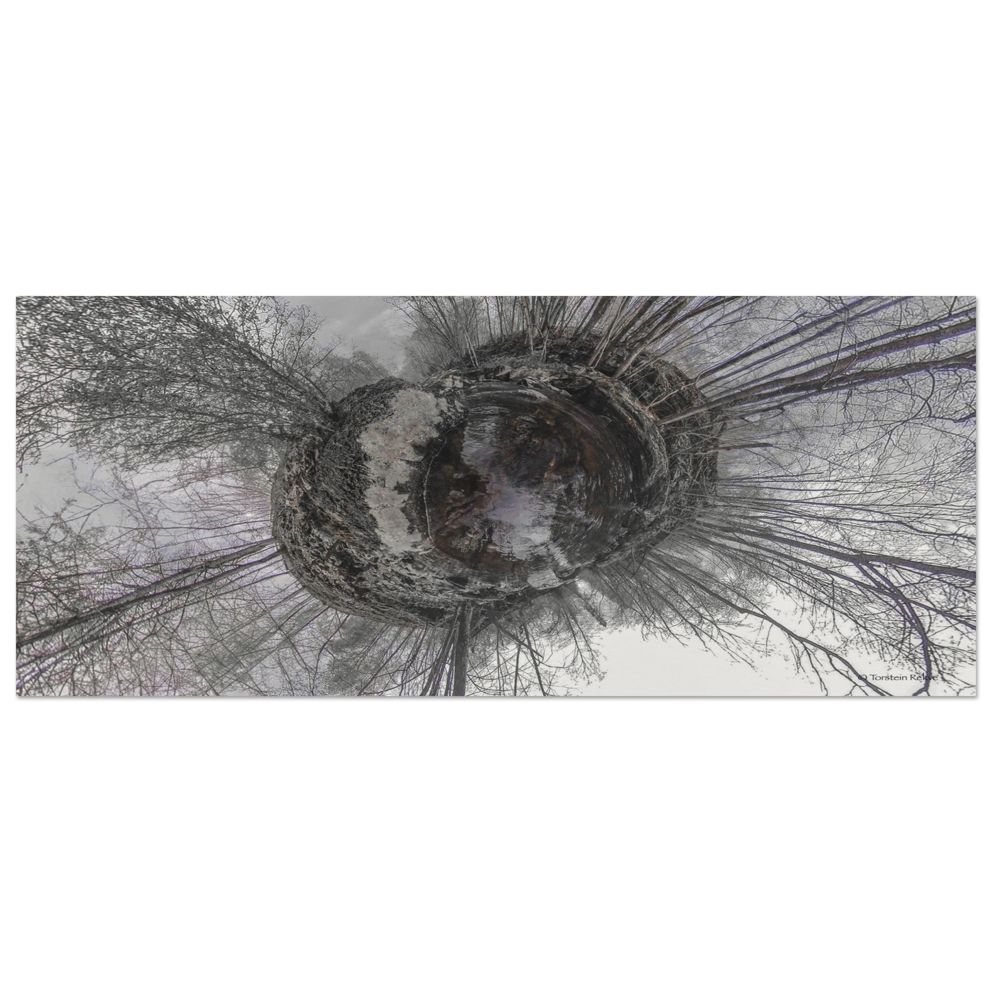 509387f4-f93e-4aae-b7ff-b76694741e30