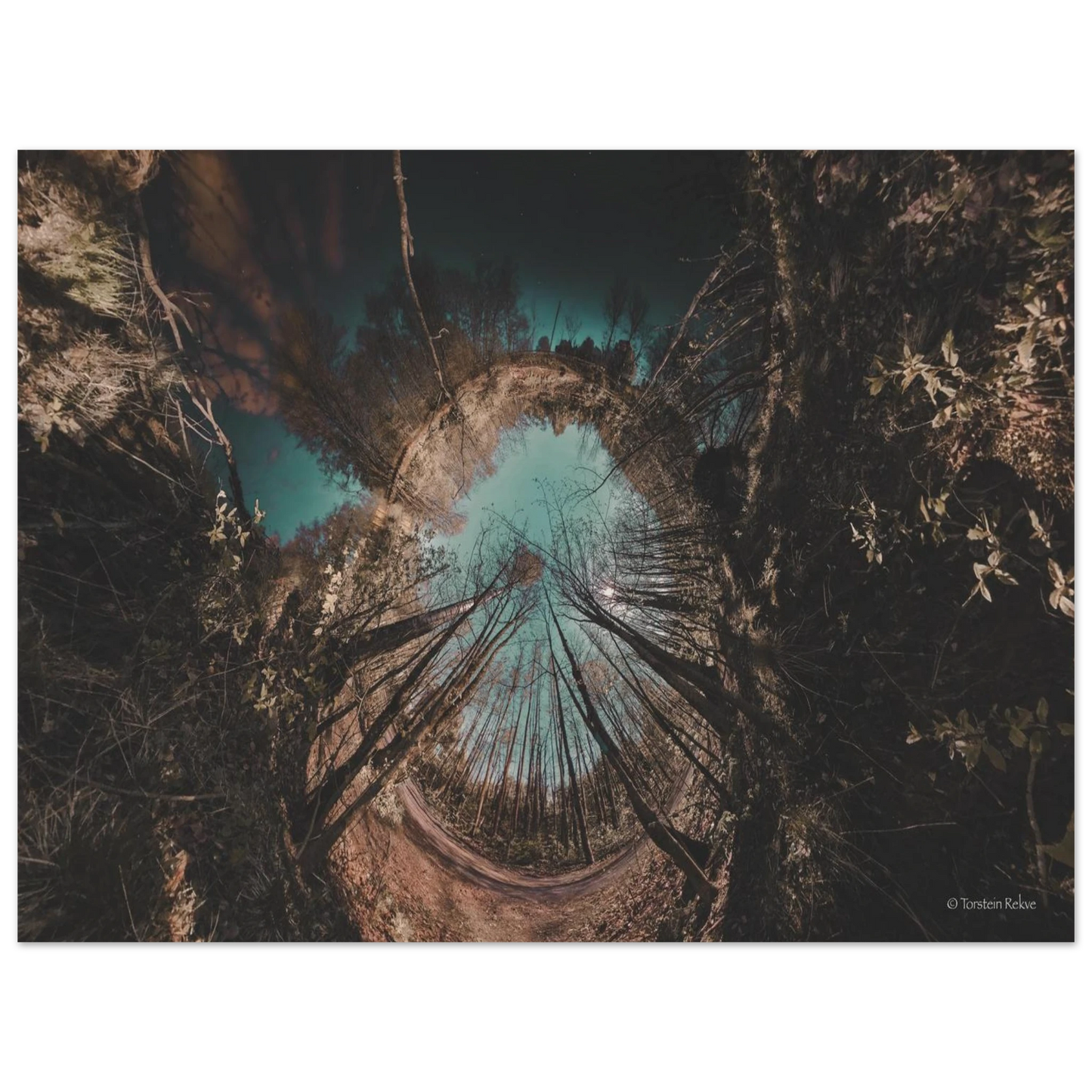 582e7223-6f9b-418f-b8bf-f6b0d4eb6859