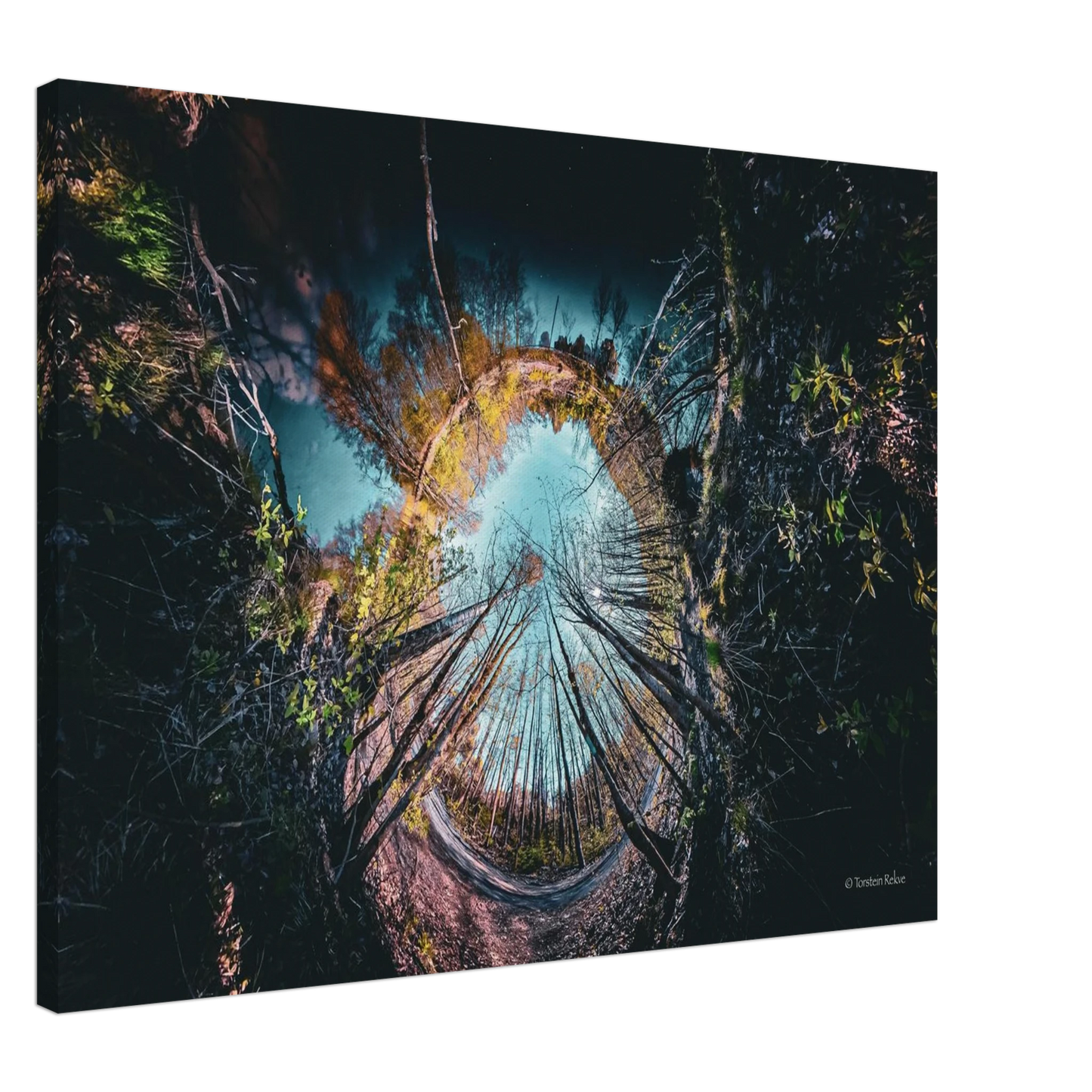 58821f18-a5d9-48a5-bb23-e92288299089