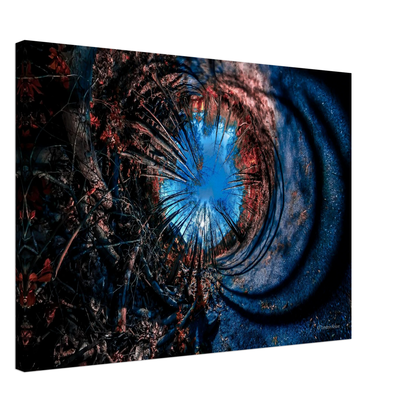 64dce33c-00a2-4594-9ebb-7c4c749f5744