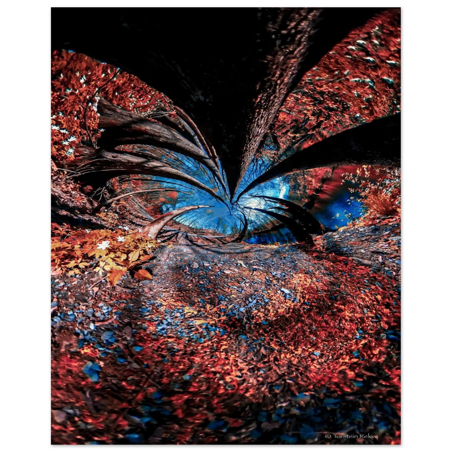 681e9402-67be-4bba-b384-d3378cd342de
