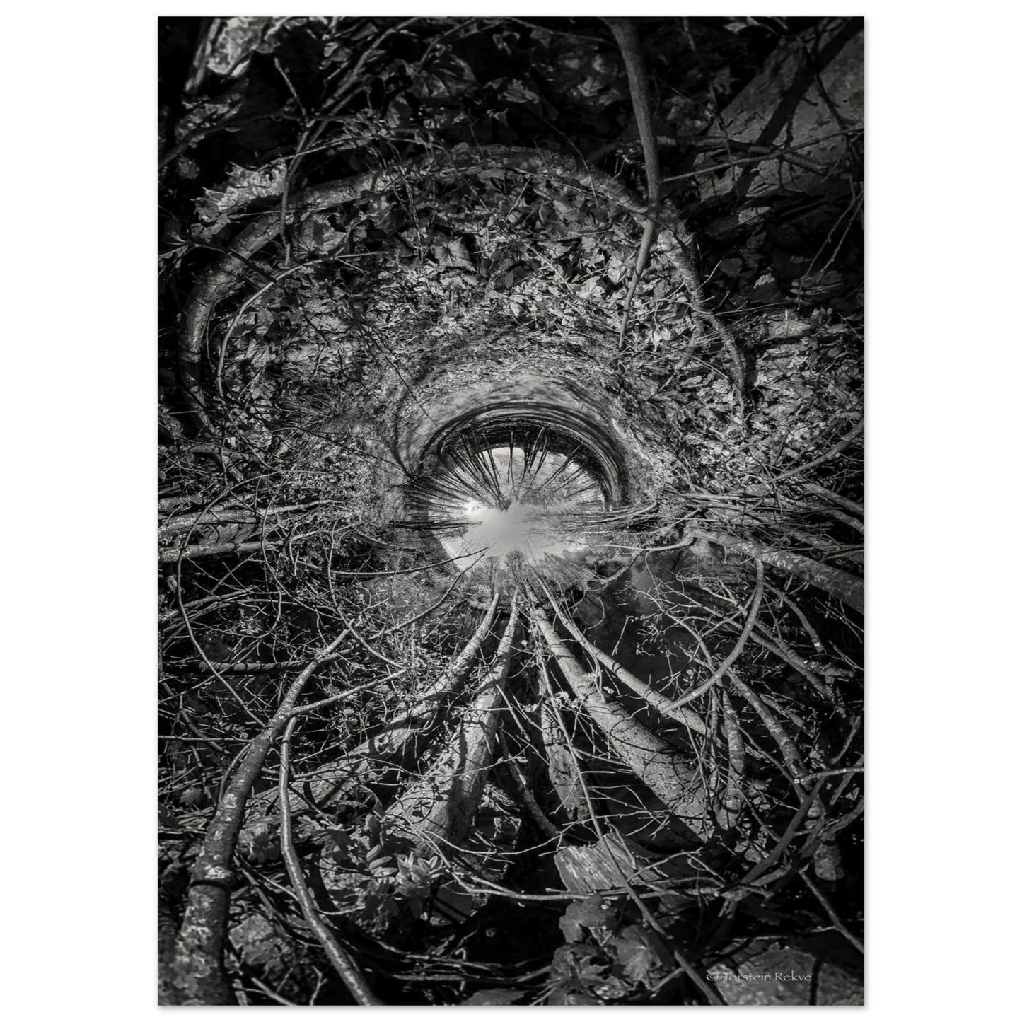 68307e75-e6e0-435f-a15a-5f45e98d797a