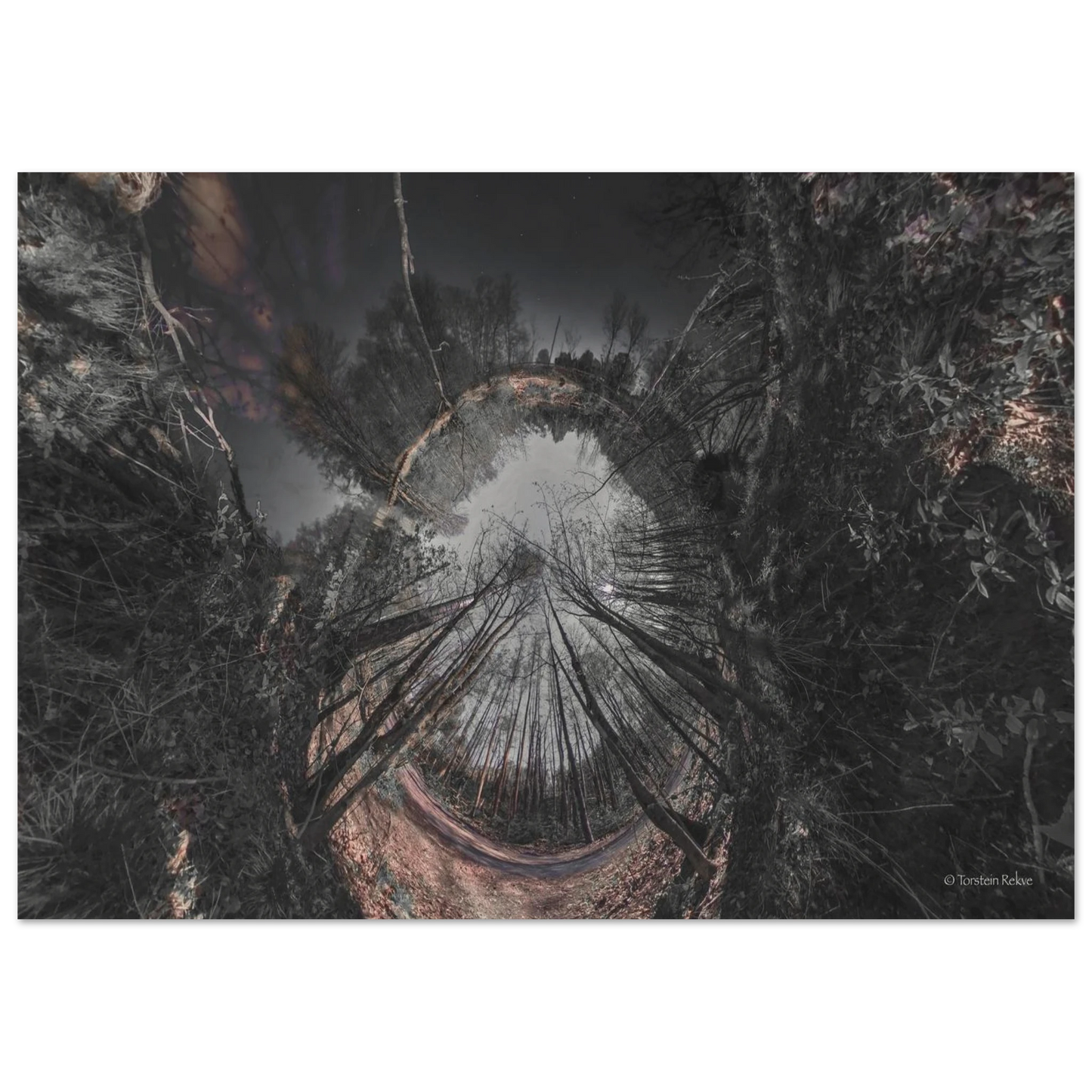 6a338656-cf78-4c7b-8bd7-479432f0969f