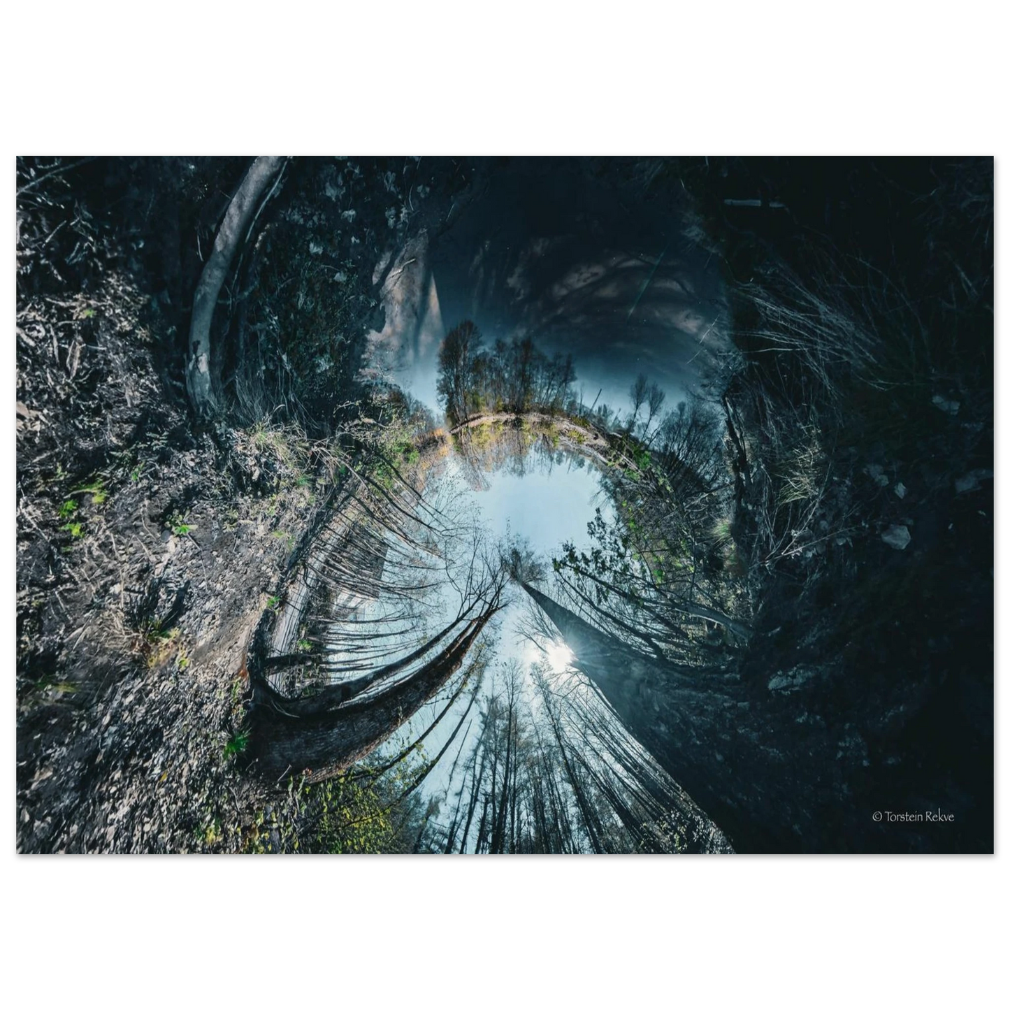 6ab7f16e-cf05-48c7-8996-aae3fbace36c
