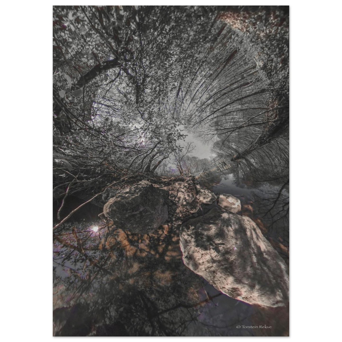 6c076cc7-c33f-484d-b390-4178365d0ae3
