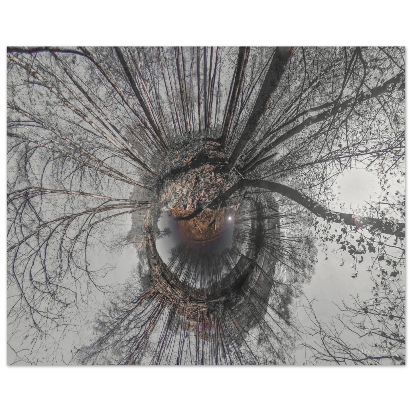 775669b4-c4bb-465f-a85c-18adc0ddd820