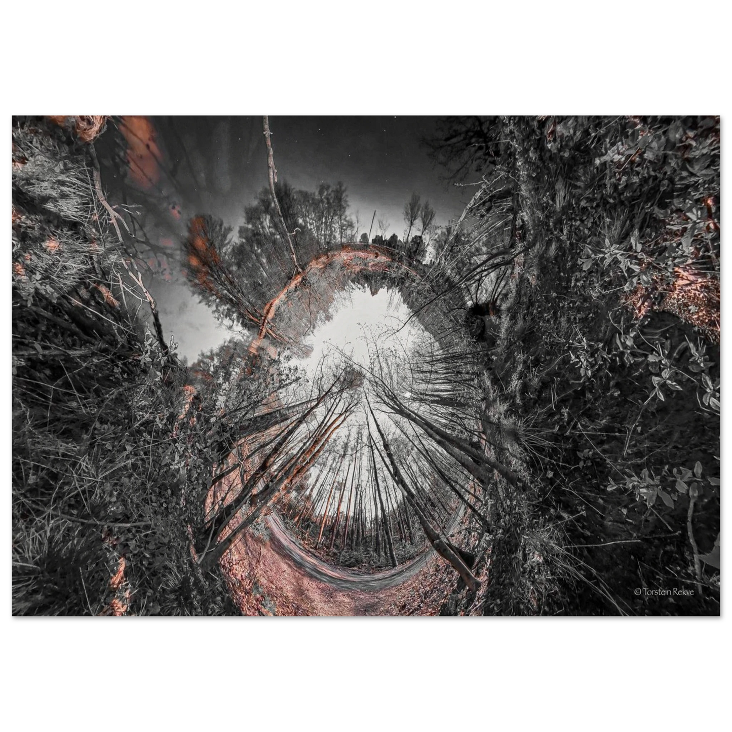 79627c25-f0fd-423d-bf68-2d87f30e30e8