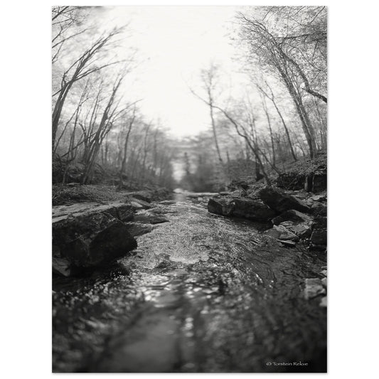 7aaca404-bb2e-4b9f-9964-92a6da8569e3