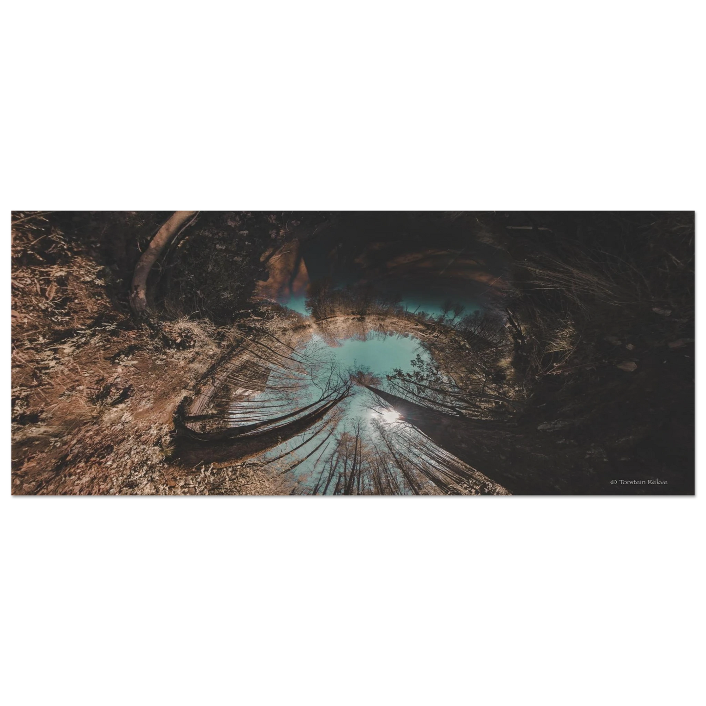 7e8e1d2e-6622-4e78-86f3-cffd3fc57e18