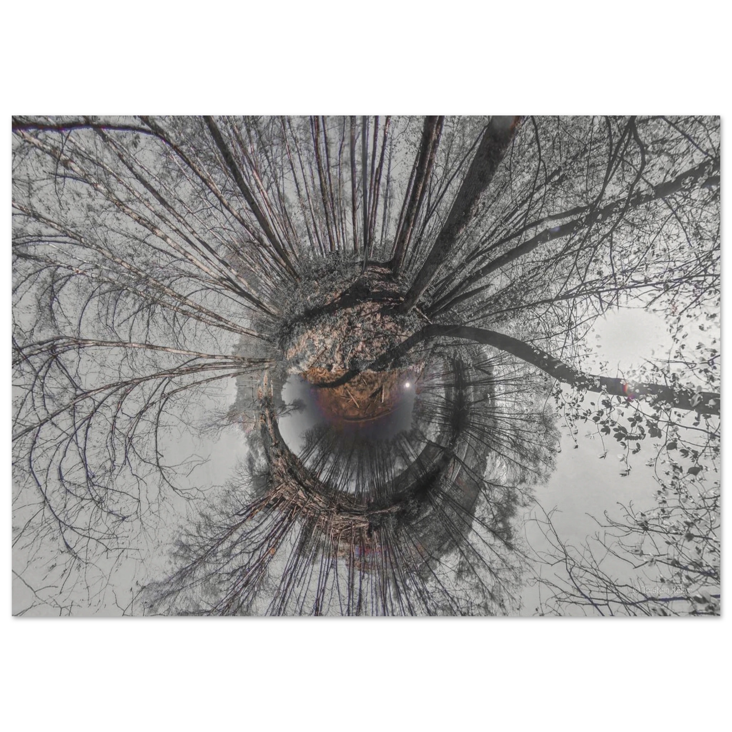 86234da0-fdaf-4ca2-8af2-c7ed2bef7cd6