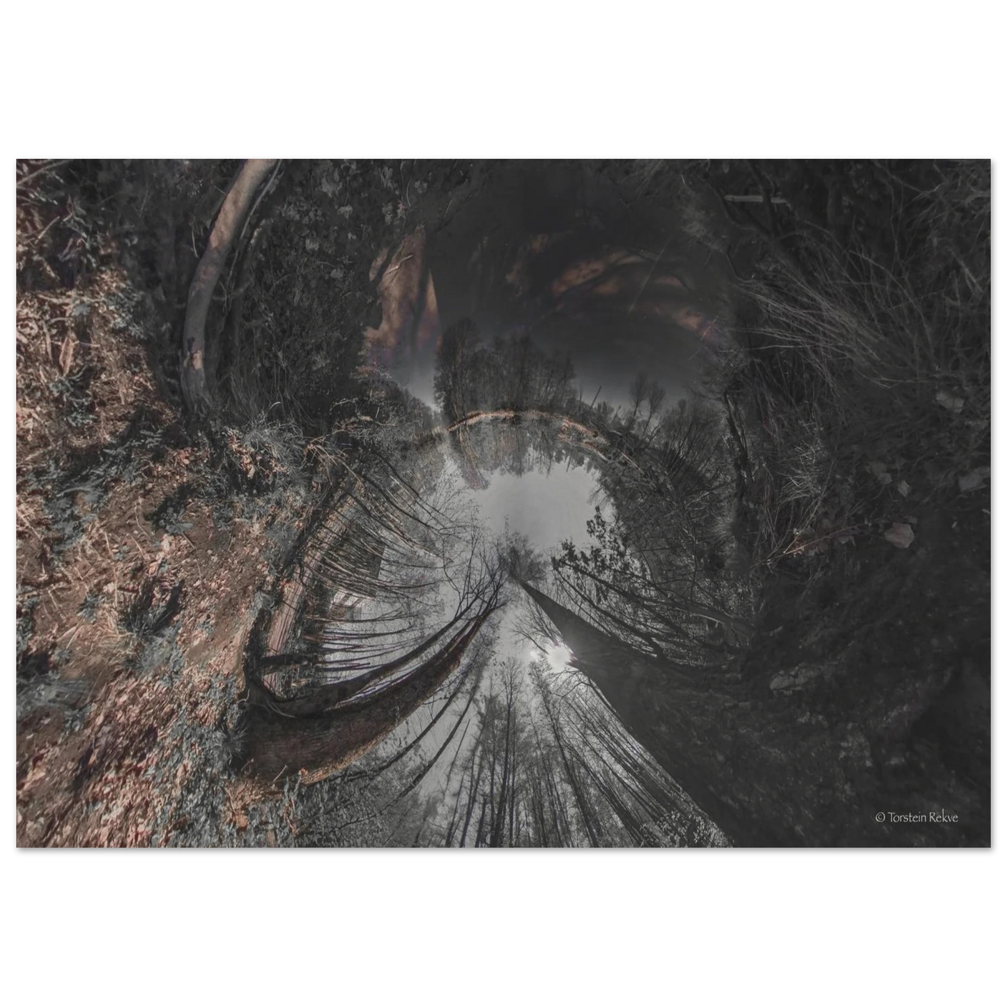 8cc98784-11a1-4a16-9390-8c2dd08ed6bc
