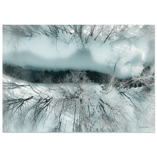 917f8664-29a2-44aa-a926-b413a715c43c