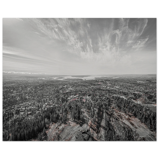 95af6396-80f3-4f40-a835-624a9b2955af