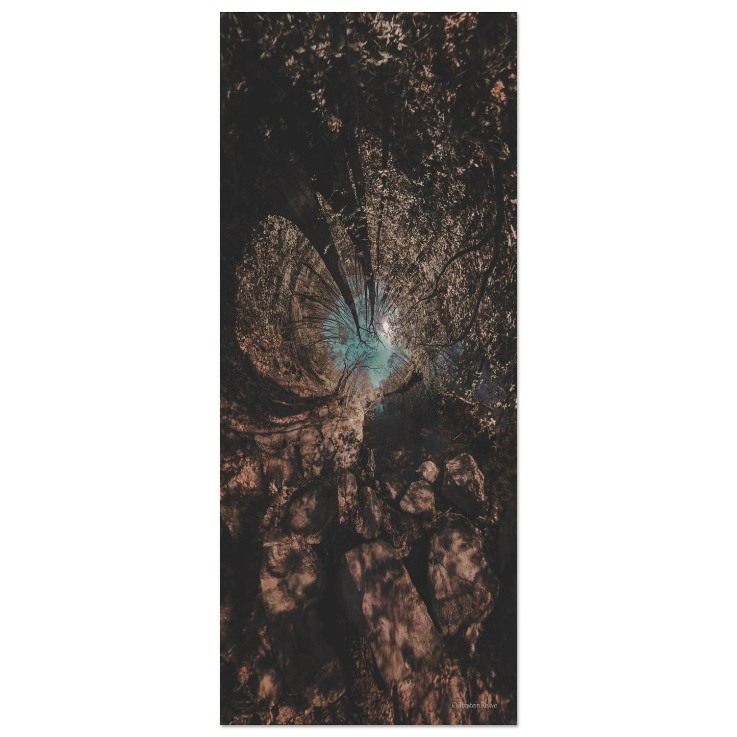 9657b3f0-b598-4530-824b-6d03b356f758