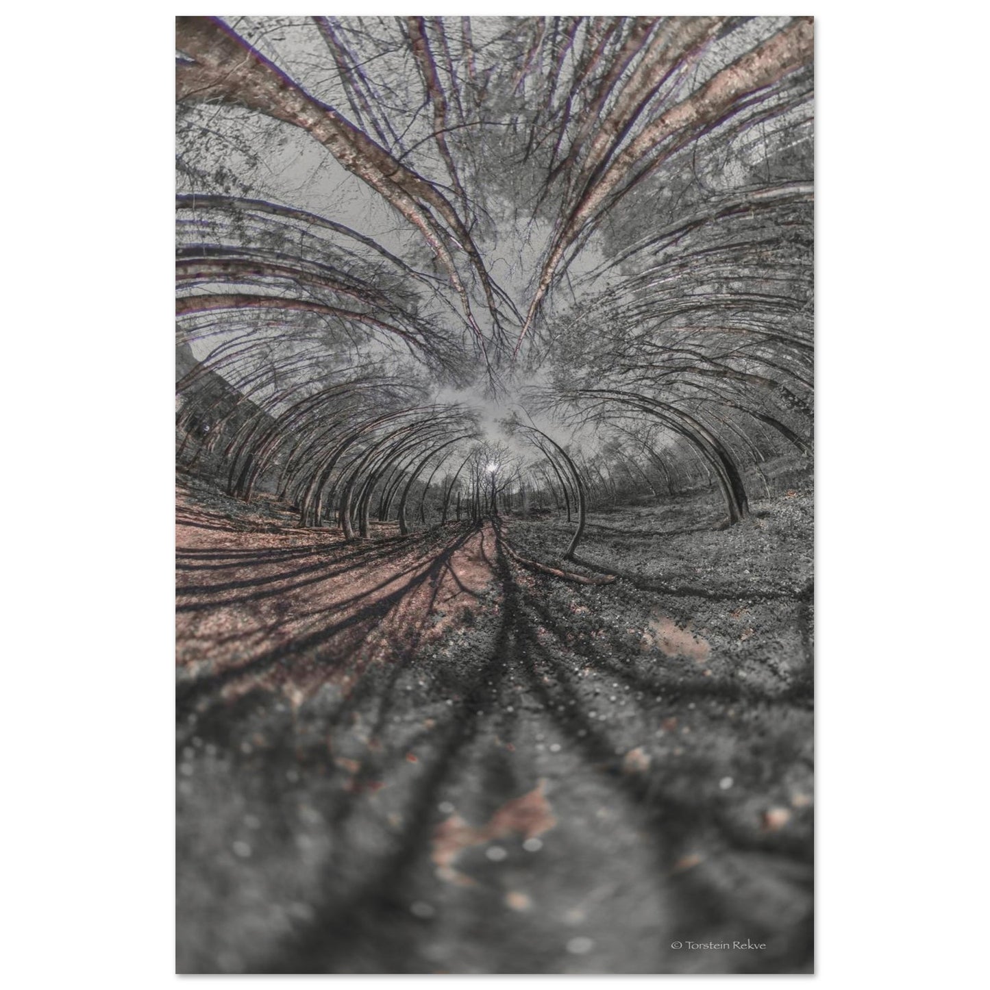9cc45b25-f265-4fbb-aa66-7b53ee8bba36