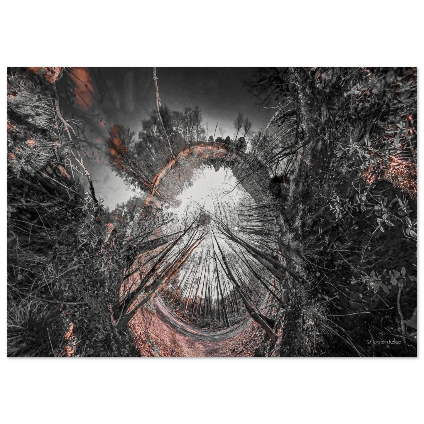 9d78426a-5553-41b7-afb0-c7d2b42367d0
