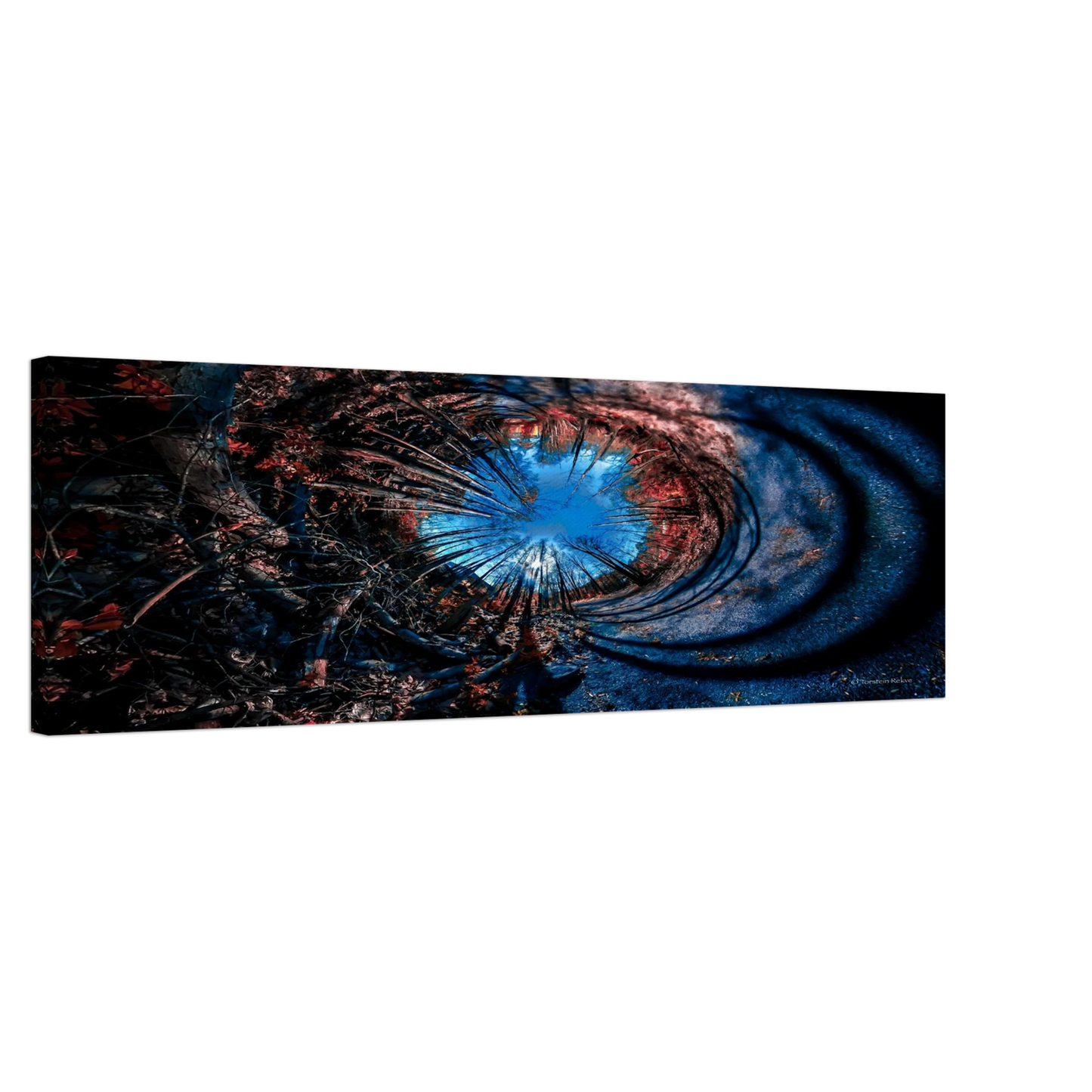 9d9ce1f2-479f-4cb8-ba59-a9f547aaea71