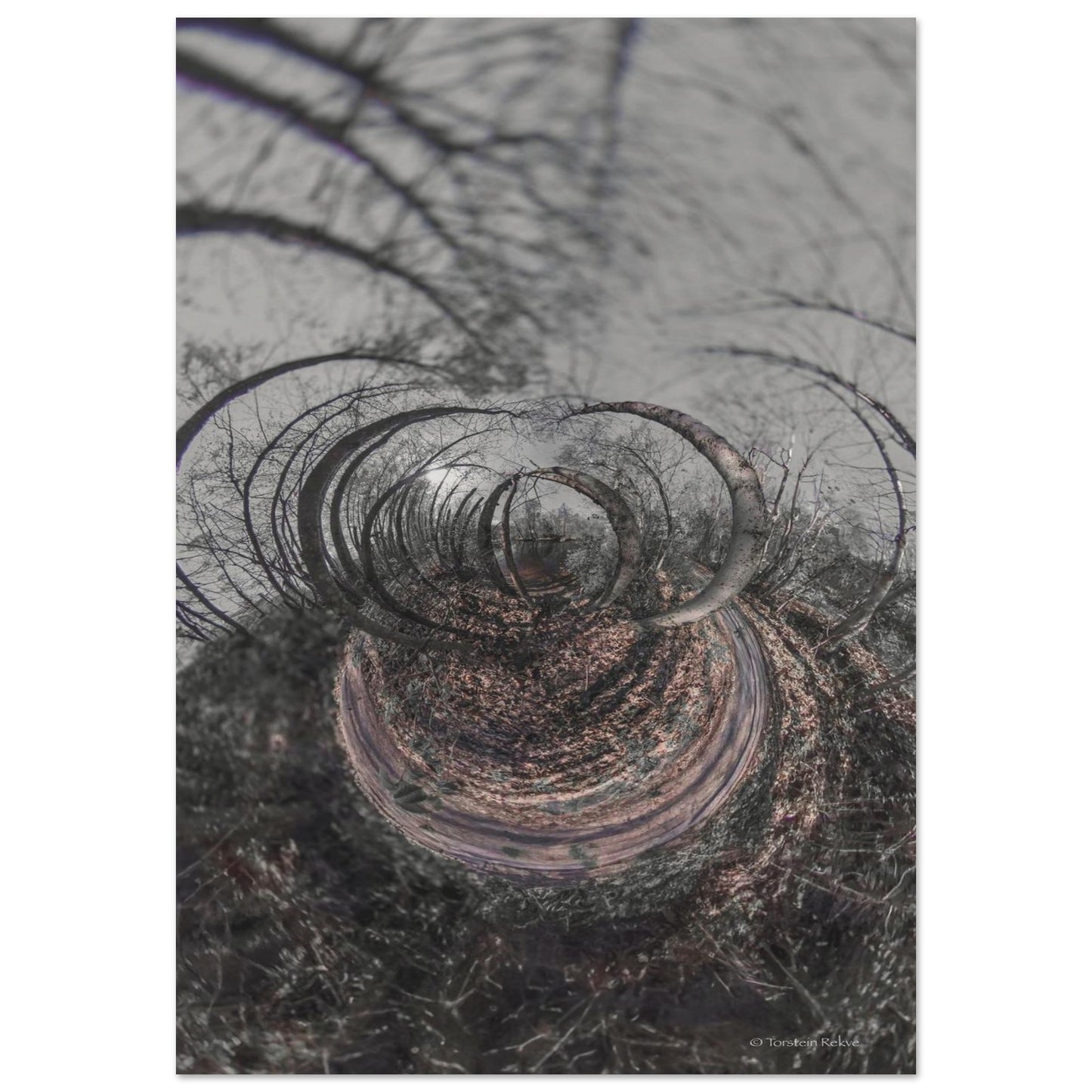 9e9c4454-93f4-45a0-aeb6-da229fa49c9b
