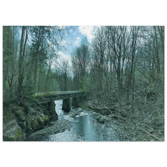 a024678b-f941-4fe3-8879-cf5bb64fd264