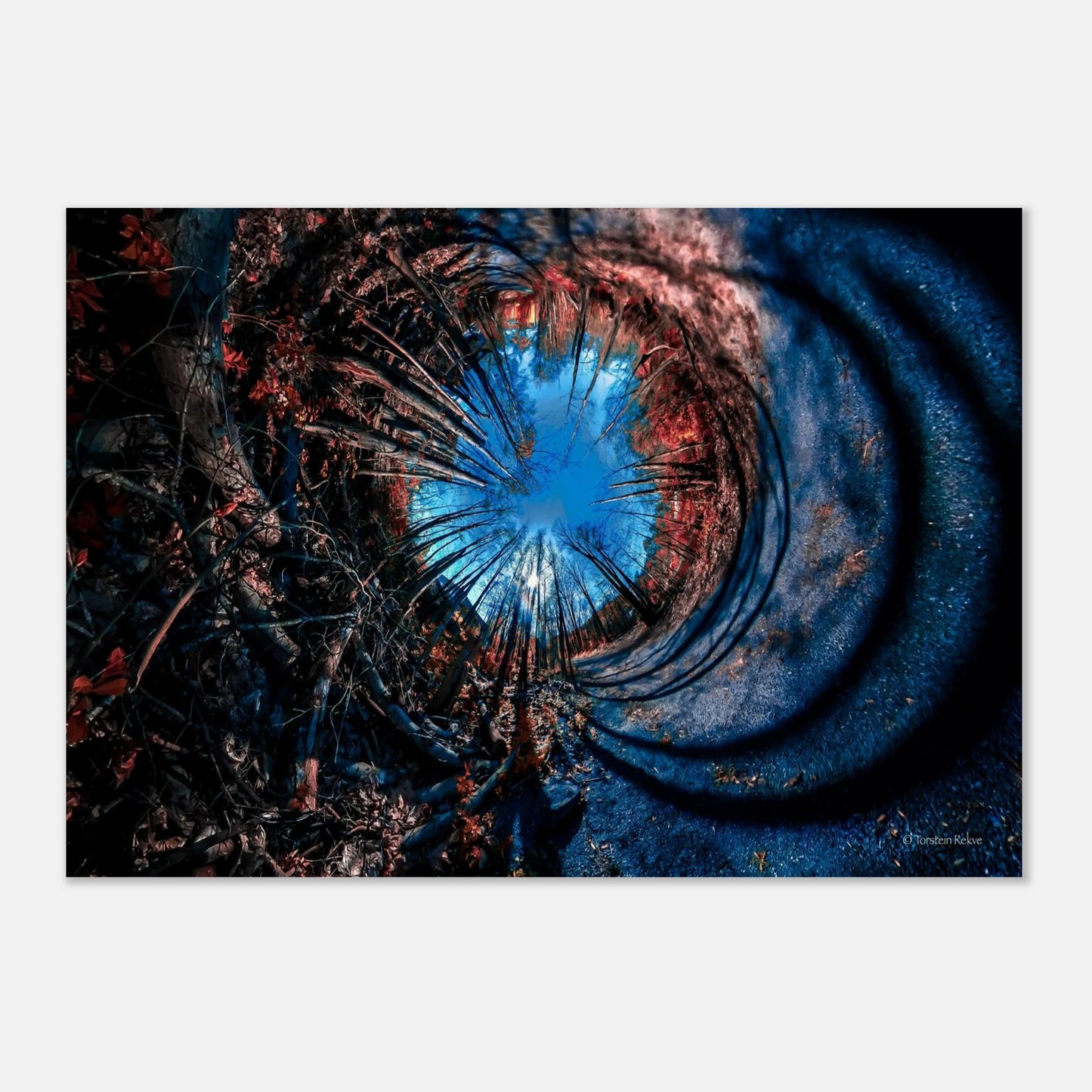 a04e2cc8-9631-48e1-86d1-c29238ae1802