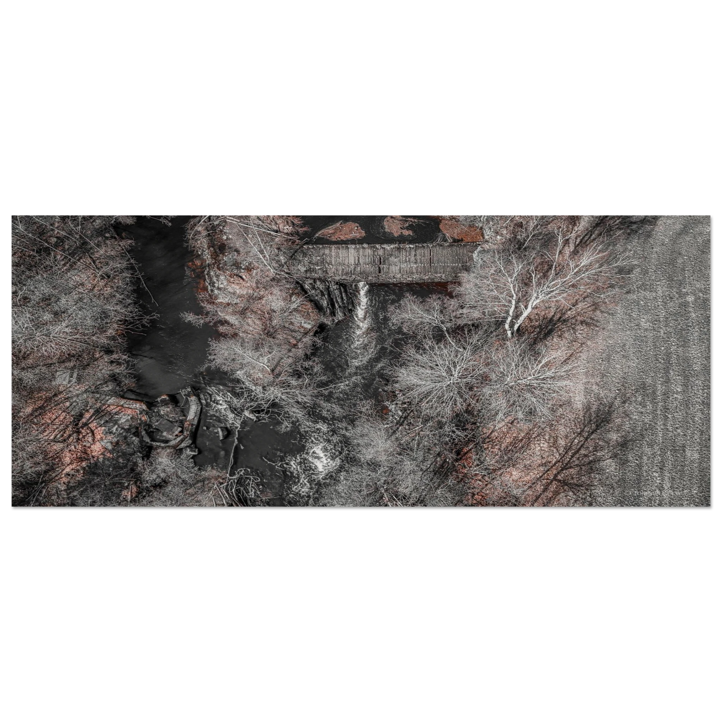 a1e9988d-0770-4297-bb09-d3f3659c2c53
